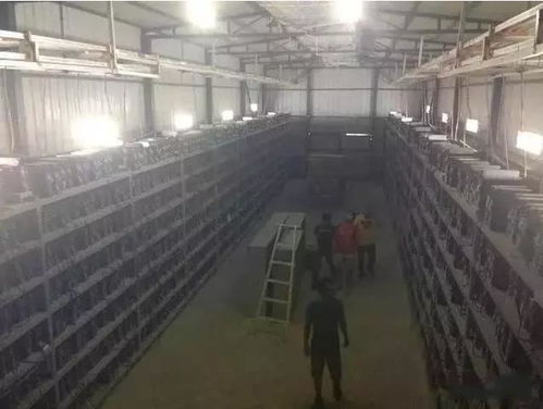 A mining rig, now repurposed for mining alternative cryptocurrencies after the Ethereum Merge, sitting in a server farm.
