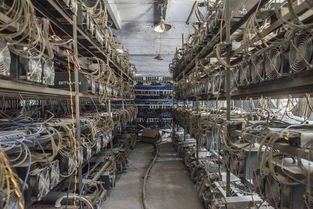 State-of-the-art Bitcoin mining rig showcasing advanced cooling technology